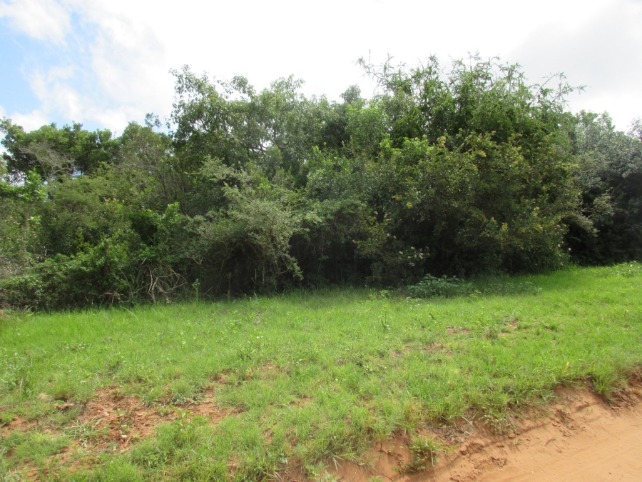 0 Bedroom Property for Sale in Bathurst Eastern Cape